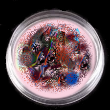 Food availability is finite